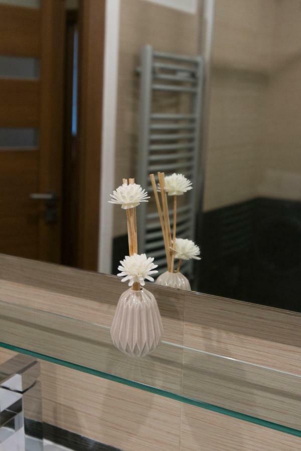 פראג Spacious Apartment Near Wenceslas Square מראה חיצוני תמונה